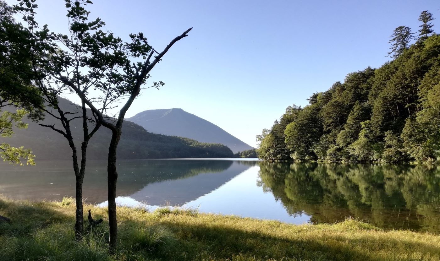 22号　北関東 Yu地区のにゃんこ